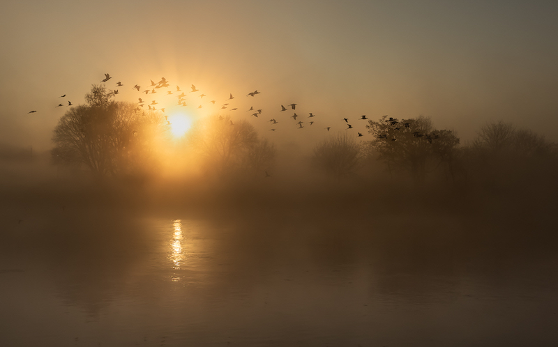 CLUB SILVER MEDAL - Scapes - Colour - Not all those who wander are lost. - Santie  van Eck - Pretoria Photographic Society