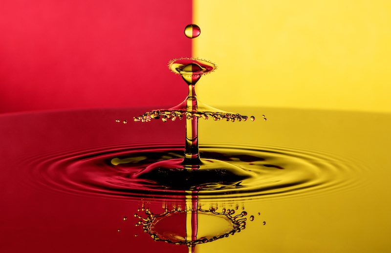 PSSA SILVER MEDAL - Open Colour - All in the splash yellow - Cynthia Uren - Alberton Camera Club