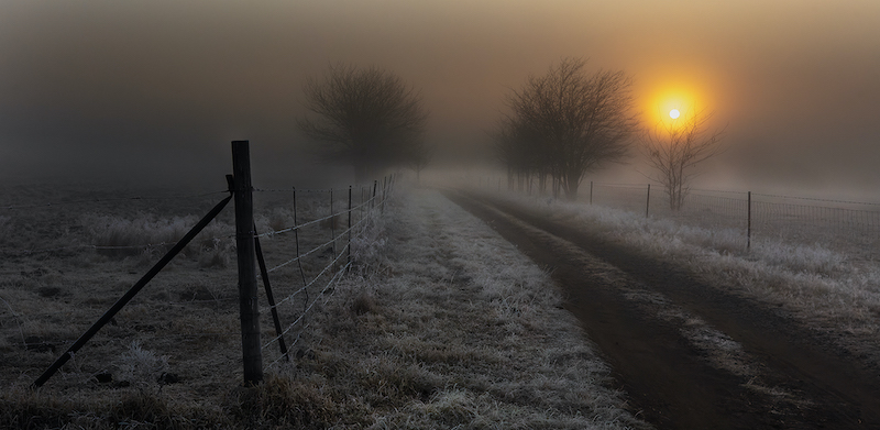 PSSA SILVER MEDAL - Scapes - Colour - the morning i saw you - Jannes Drotsky - Bethal Fotografie Klub