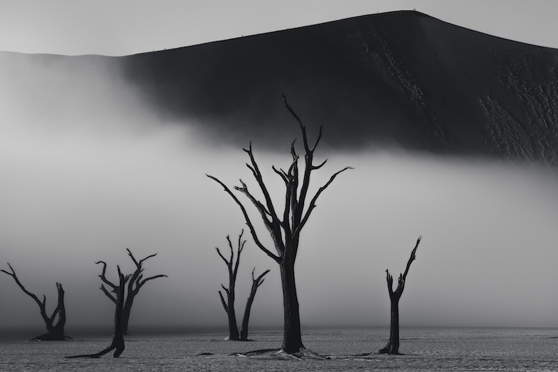 Charl Conradie-Tree Graveyard (17y)