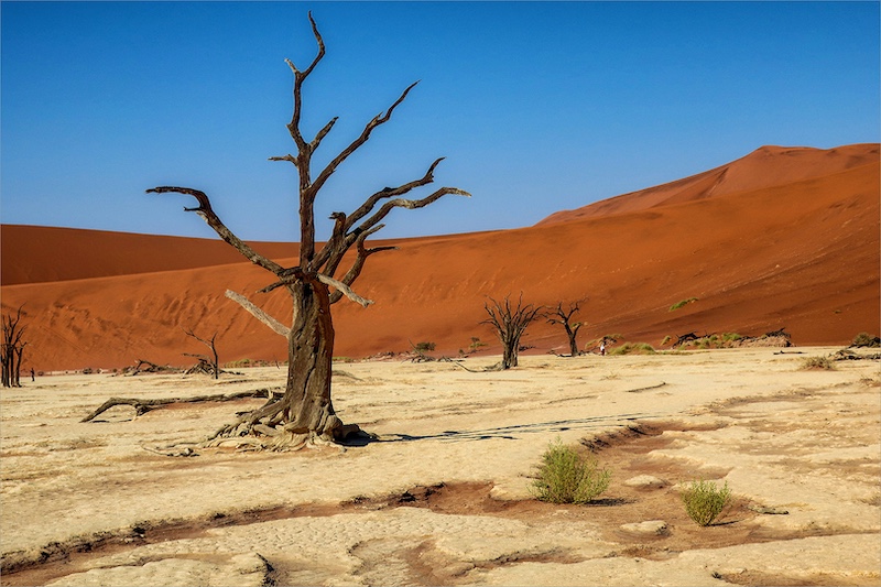 Deadvlei by Jani van der Merwe (17y) from Charlie Hofmeyr PC