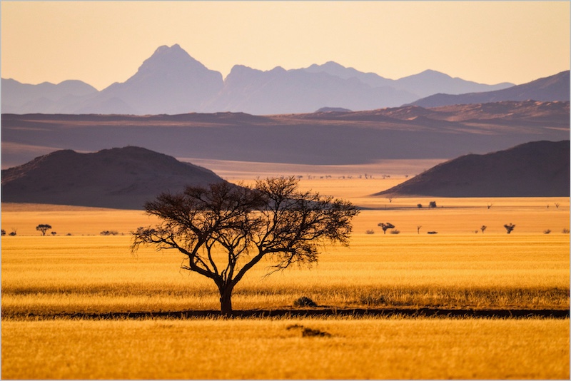 In die middel van nerens by Liza Du Toit (18y) from Charlie Hofmeyr PC