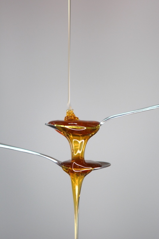 HM-Colour Open-Honey by Stefan Botha from Hermies Photography Club