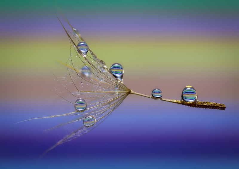 Alta Oosthuizen - Detailed Stripes