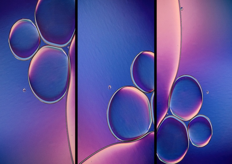 Carol Phillips - Triptych