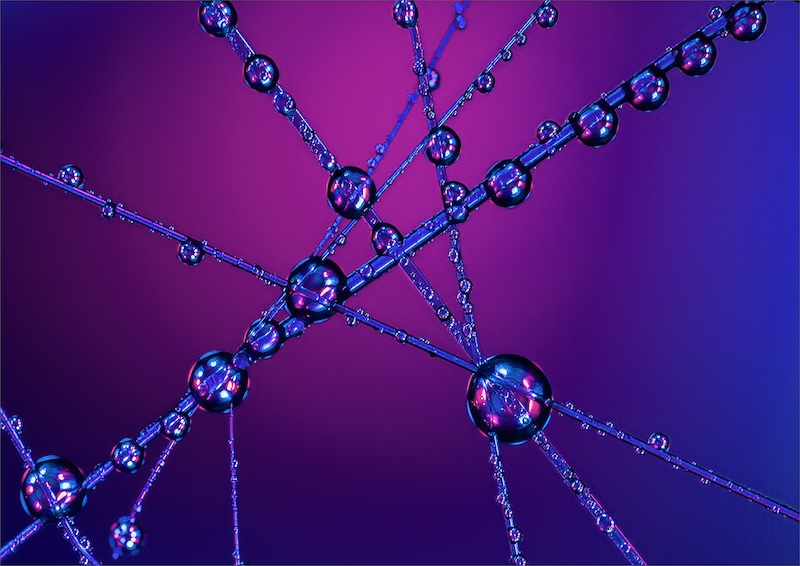 Leon Heyes - Dizzy Dots