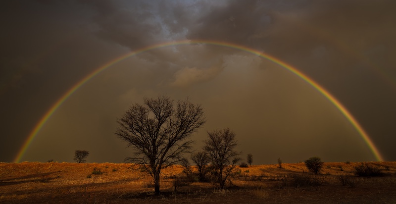 Christo Giliomee - Kalahari rainbow