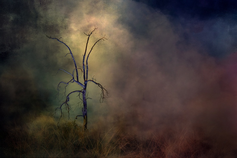 Diane Hampson - Fantasy landscape
