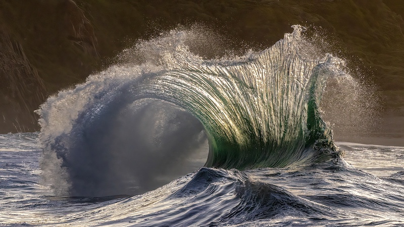 Gerbus Vermaak - Left Wave