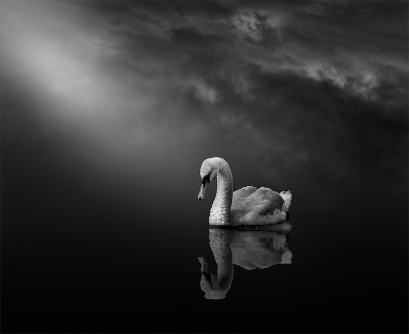 Alta Oosthuizen - Alone on the lake