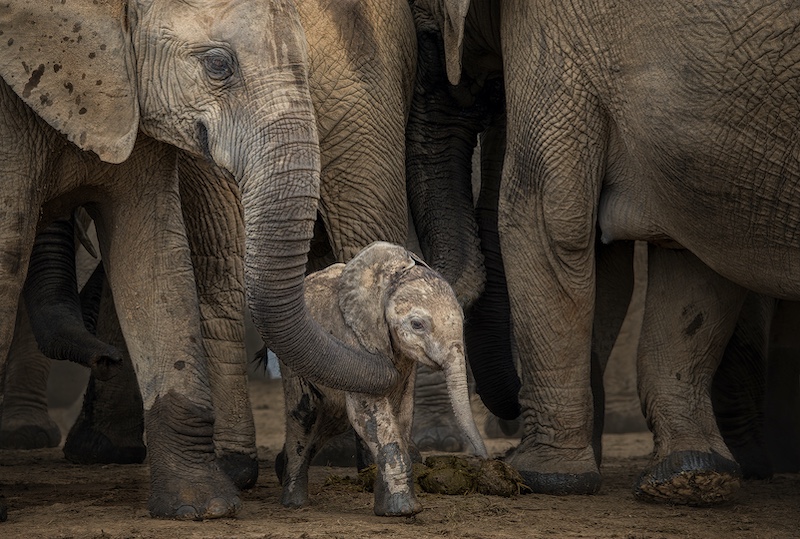 Charmaine Joubert - Moms trunk keeping me safe