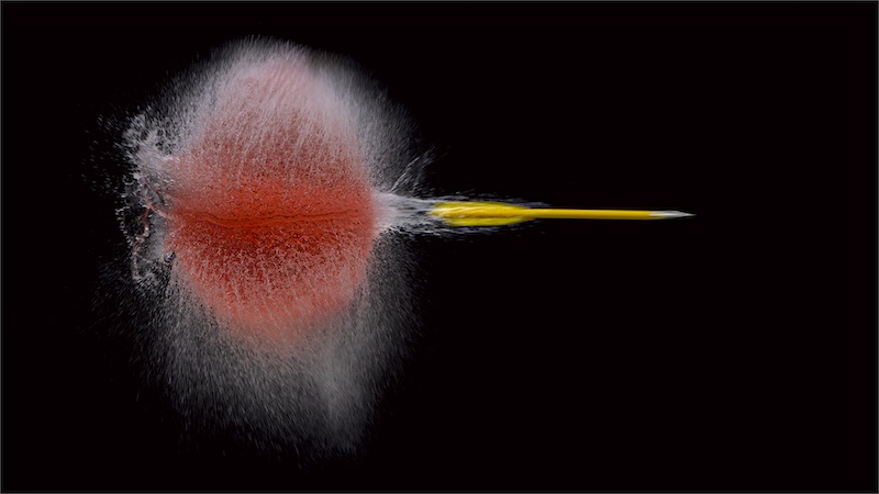 2503-Cynthia Uren-Southern Suburbs Camera Club -GIP Medal -Colour Section-German International Photocup (GIP) 2025-325 Feet per second