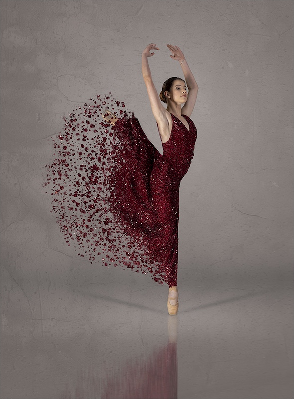 2503-Mia Joubert-Magalies foto fun club-GIP Medal-German International Photocup-Rose Petals