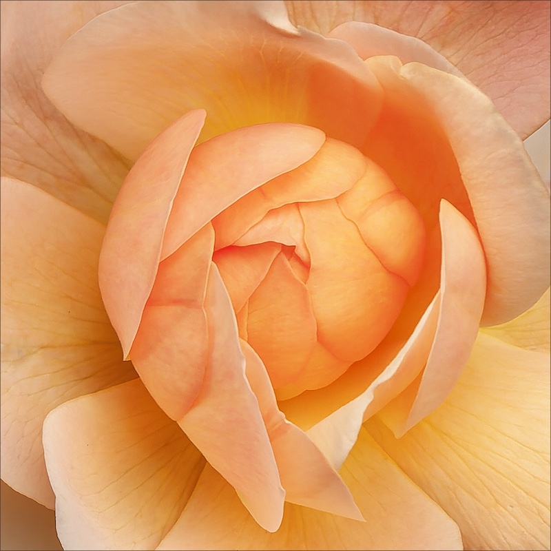 2504-Luane Kruger - Ermelo Fotoklub - GIP medal - German International Photocup - Lente