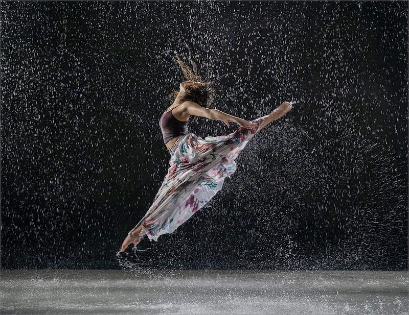 2505-Mia Joubert-Magalies foto fun club-ACC Bronze-1st ACC international salon 2025-print and digital-Stormy flourish