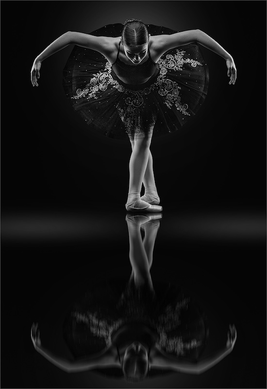 2508-Belinda Ueckermann-F-Stop PS-WPAI Gold Medal-Open Mono Category-Where grace meets shadow