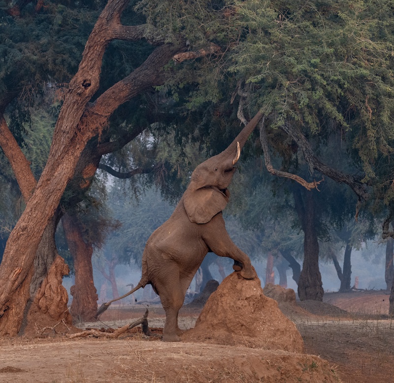 Ballito Photo Club - Pamela White - Big stretch
