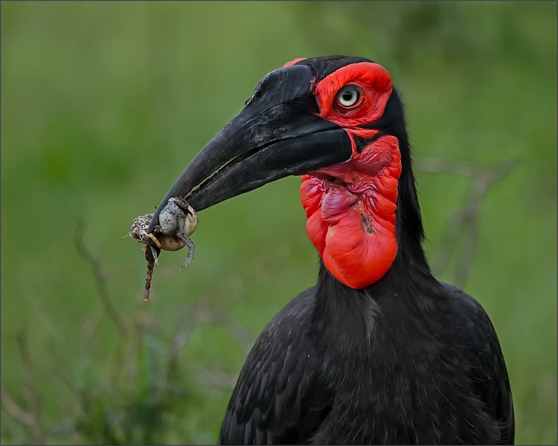 Ermelo Foto Klub - Bianca Breytenbach - Lunchtime