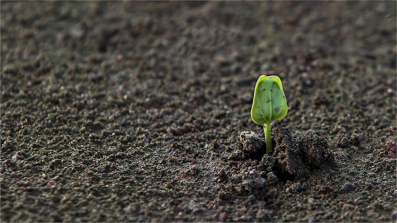 Magalies Foto Fun Club - Magda Delport - PT002-2483963-New life.jpg