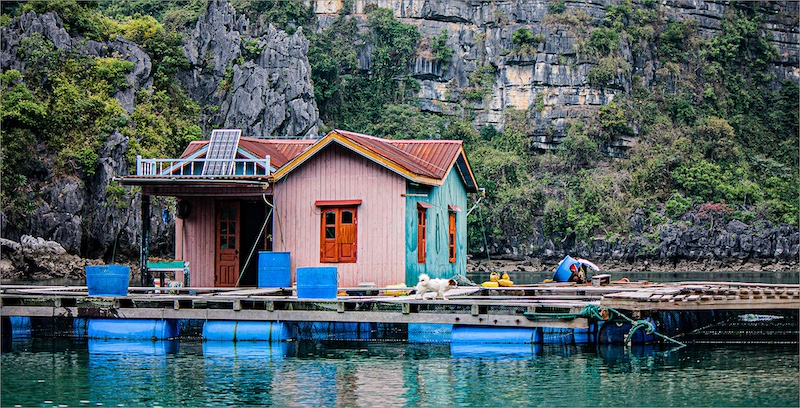 Sasol Highveld Photography Club - Lorraine Botha - Living in a city on water in Ha Long Bay