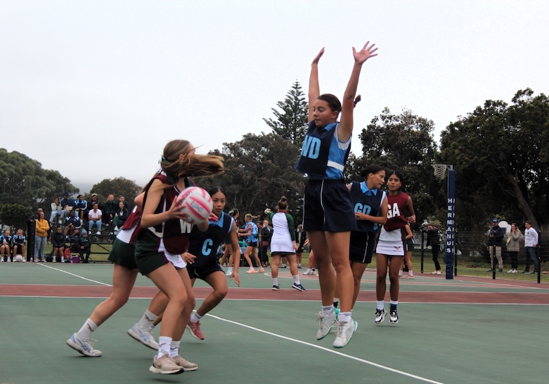 Schools - Hermies Photography Club - Isabel Nel - play the game