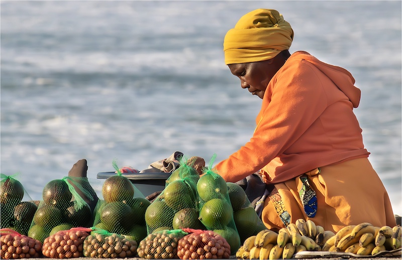 Springs Photographic Club - Terry Swart - Desperation