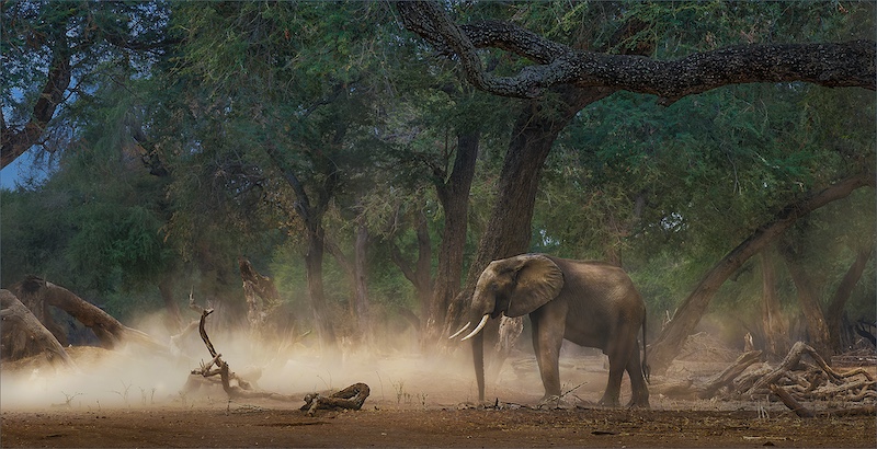 Bethal Fotografie Klub - Jannes Drotsky - stof storm in die bos