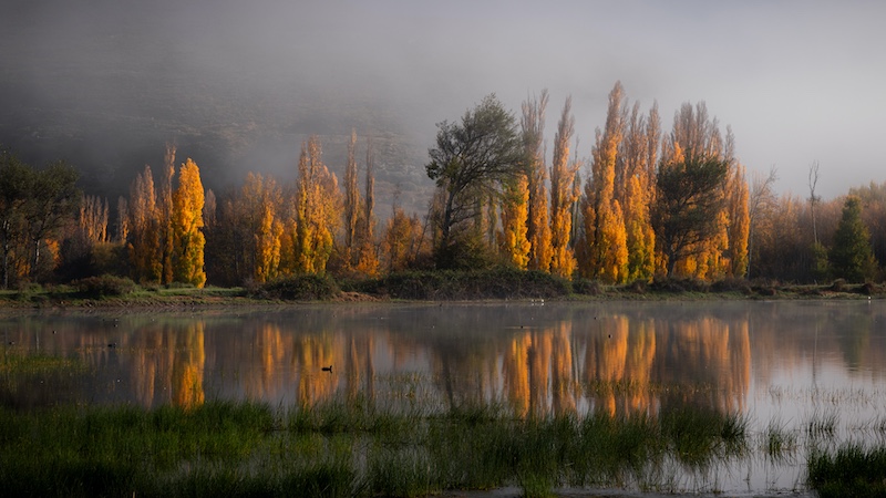 Hermanus Photographic Society - Carina de Klerk - Golden reflections