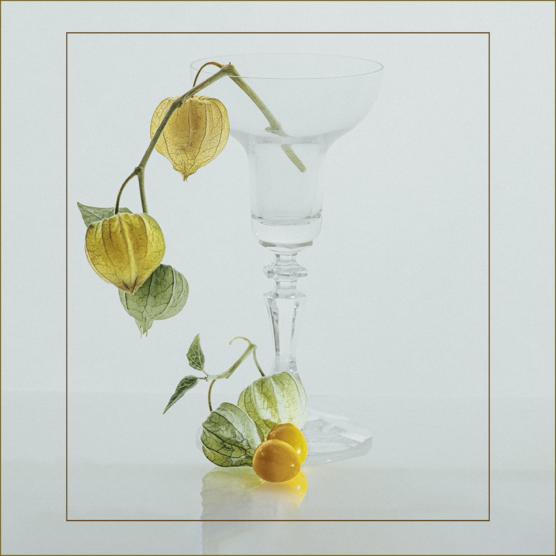 Knysna Photographic Society - Pam Brighton - Gooseberries