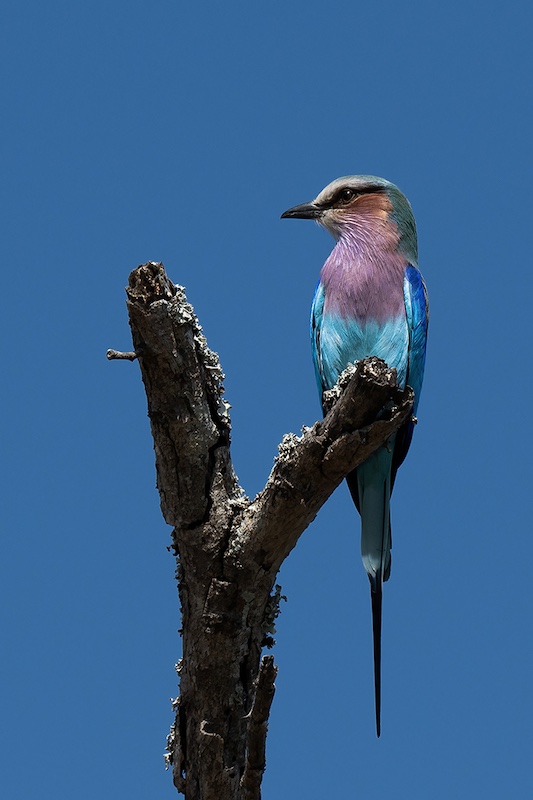 Kroonstad Fotoklub - Sarita Engelbrecht - Uit die hoogte