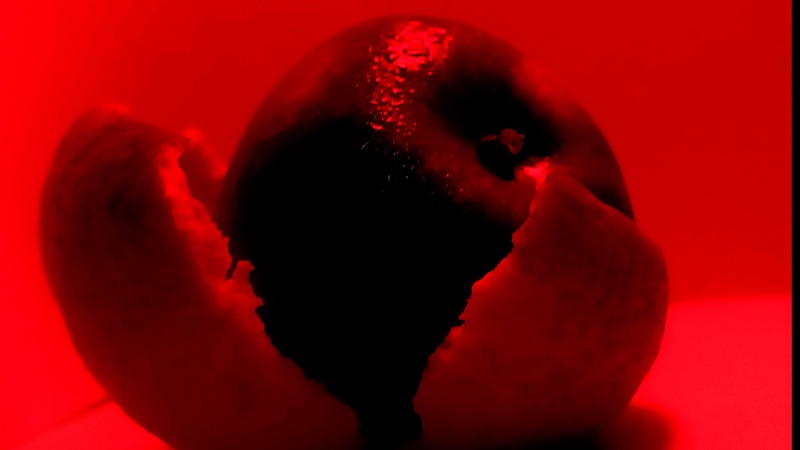 Busisiwe Mokoena - Schools - Youth Photographers - An appeal of an apple