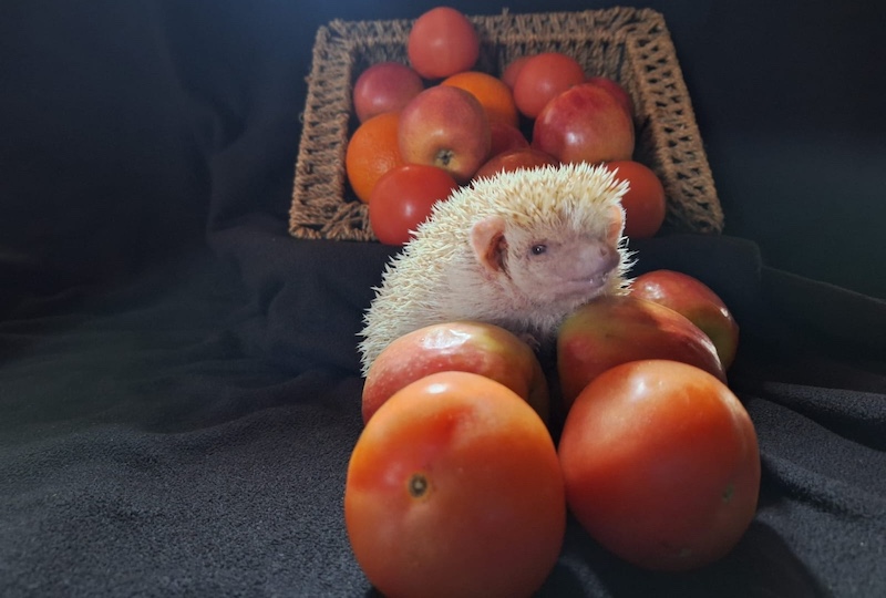 Chereen  Rosslee  - Schools - Hermies Photography Club - Feast