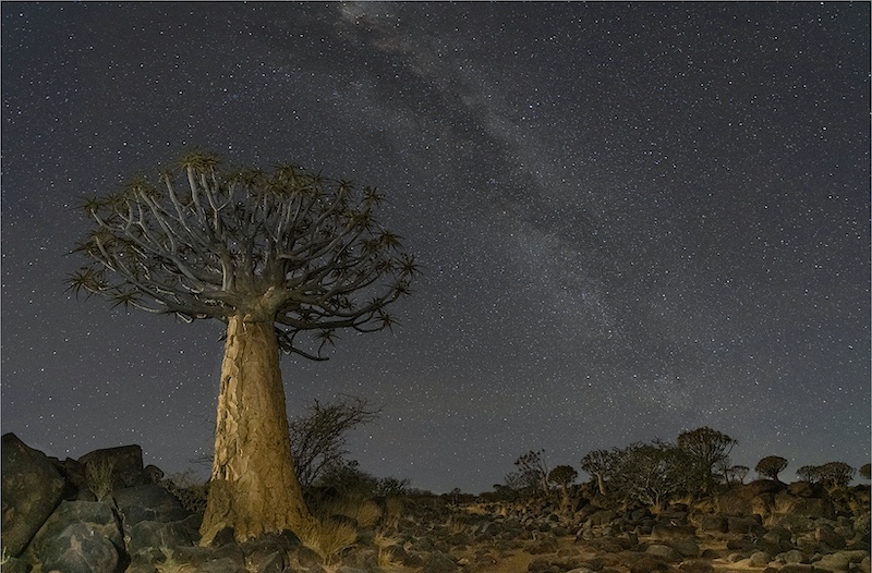 Marianna Erasmus - Mosselbaai Kameraklub - Kokerboomwoud