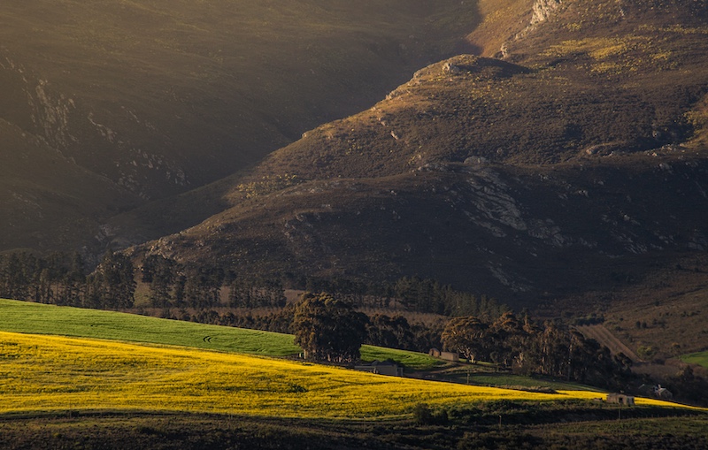 Phillip de Lange - Witzenberg Photographic Society - Nooitgedacht