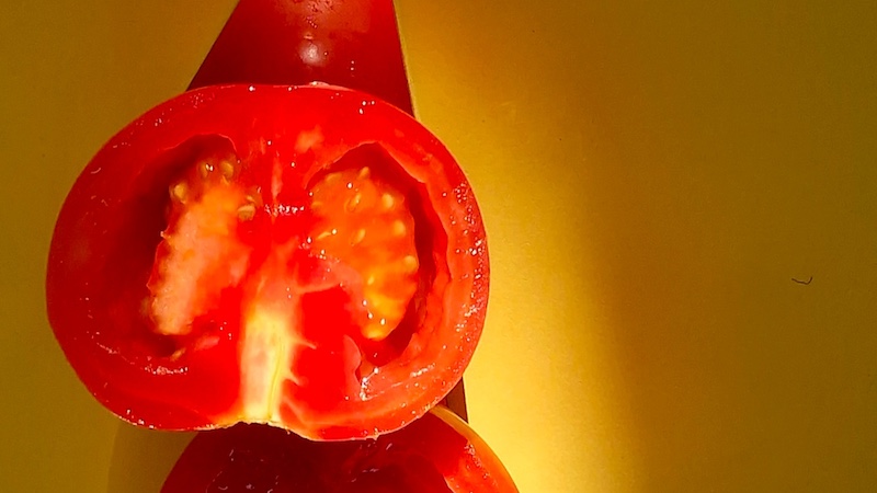 Tshilidzi MUNYAI - Schools - Youth Photographers - Love of Tomatoes