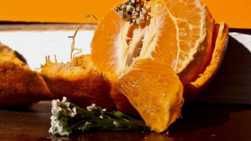 Wanani Nemasetoni - Schools - Youth Photographers - Ohh sweet nartjie