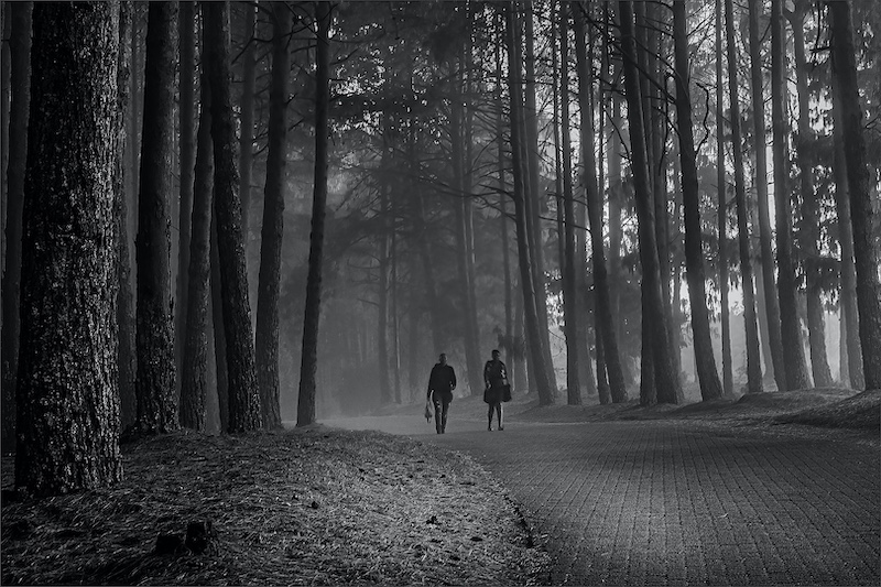 Amber Camera Club - Mark Preston-Whyte - Walking home in the Mist