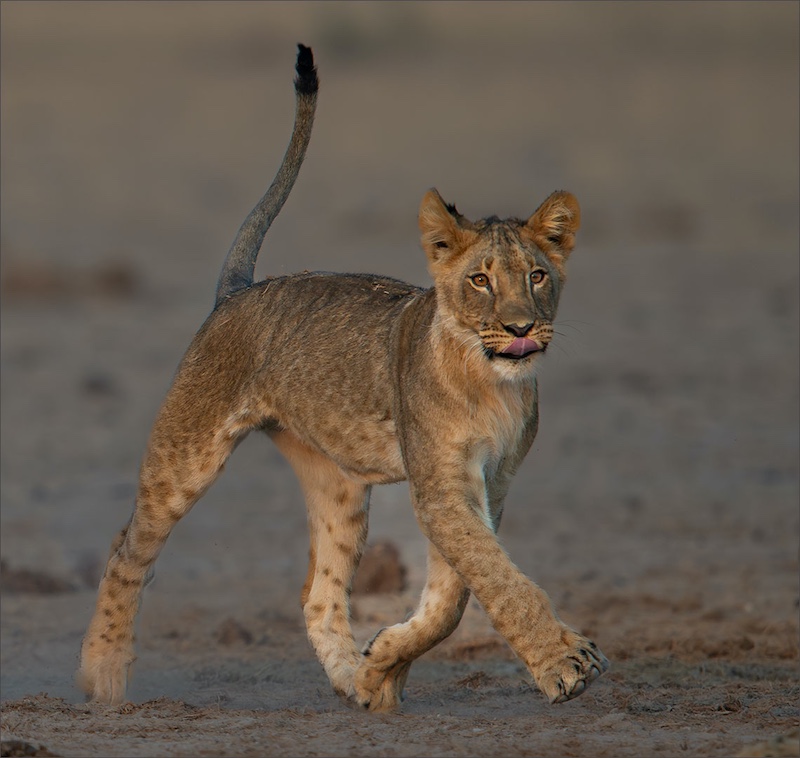 Bethal Fotografie Klub - Leon Venter - OP EN WAKKER