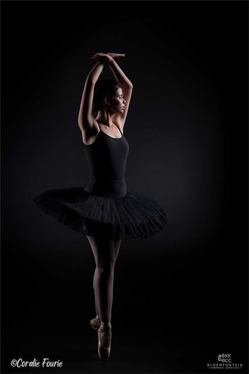 Bloemfontein Kameraklub - Coralie Fourie - Black Swan