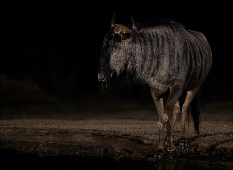 Ermelo Foto Klub - Hardus Pieters - Kwyl van die dors