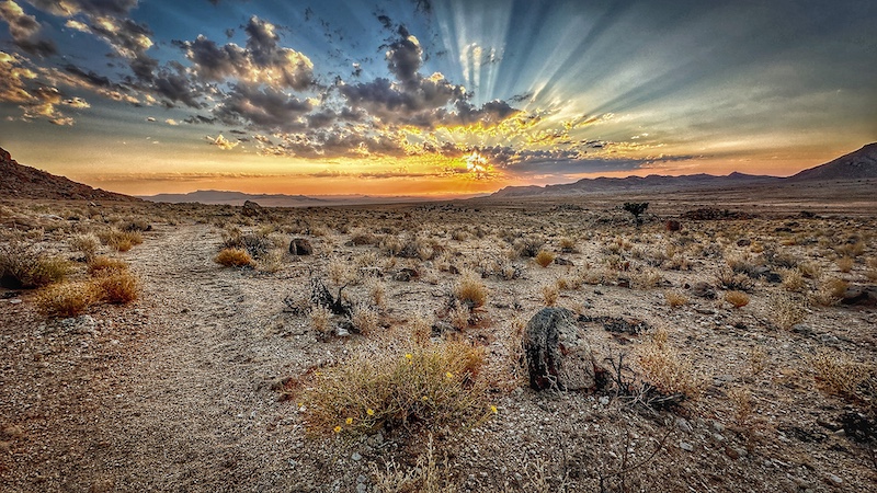 Jeffreys Bay Camera Club - Gerhard van Niekerk - Little Aus