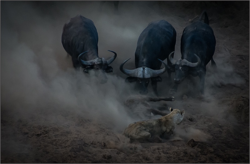 Krugersdorp Camera Club - Attie Groenewalt - Ons kom help