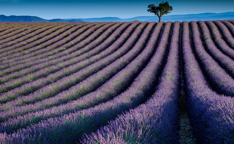 Vanderbijlpark Fotografiese Vereniging - Francois Roux - franse platteland