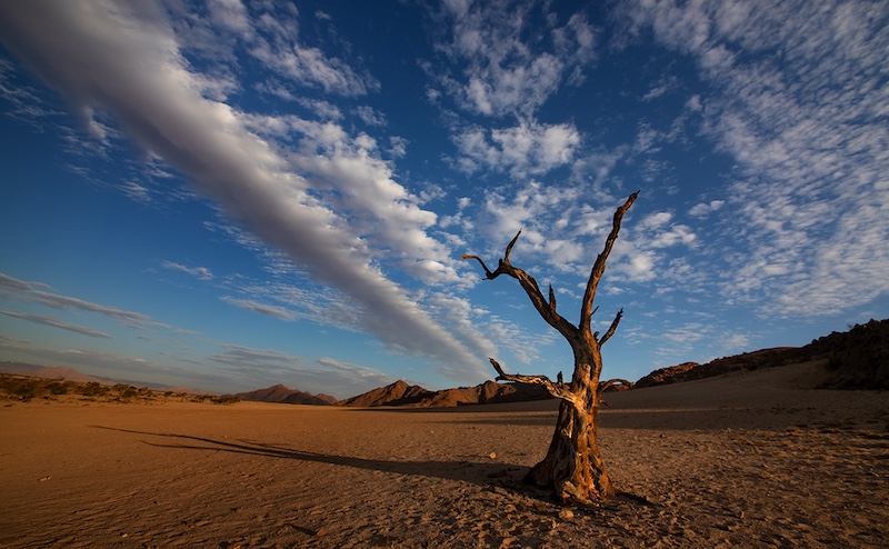 Vereeniging Photographic Society - Francois Roux - dooie boom by sesriem