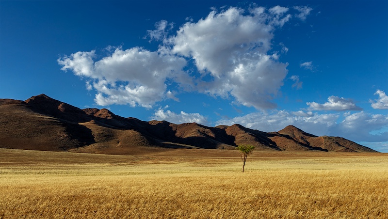 Anette Reimers -  Independent - Survivor