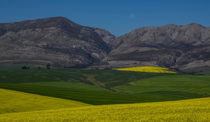 Louise De Lange - Witzenberg Photographic Society - Golden heart