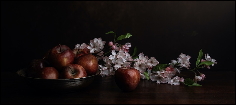 MONIQUE VAN ROOYEN - Klerksdorp Fotografie Klub - Apple blossom