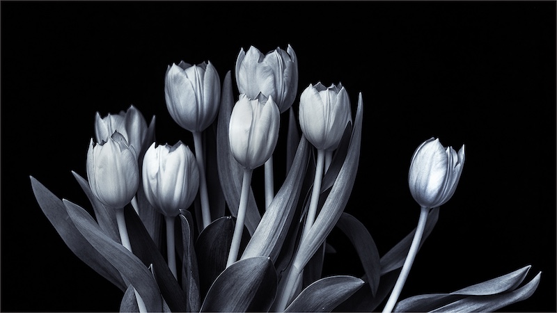 Peter Oosthuizen - Knysna Photographic Society - Theres always one