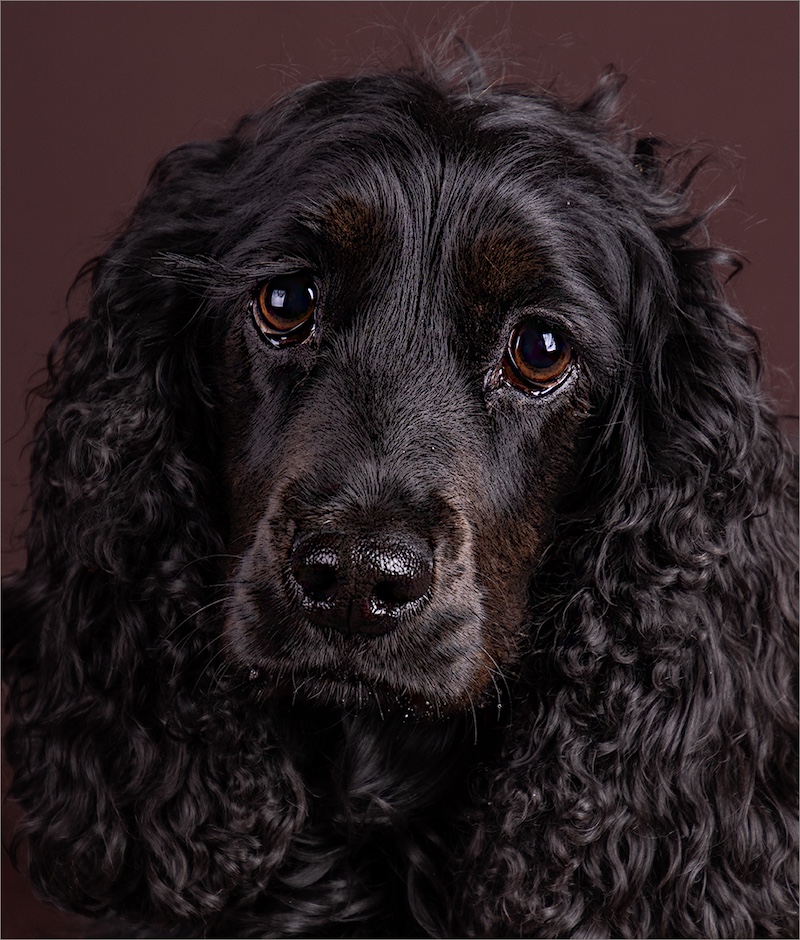 Peter Thomas - Brandpuntfotoklub - Vika