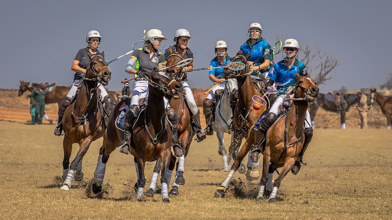 Yafei Yi - Sandton Photographic Society - All Eyes On the Ball